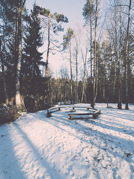 icy winter road with sun rays and trees - retro vintage effect