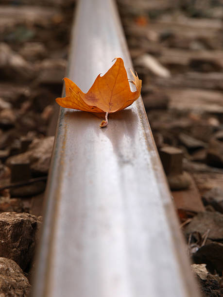 istock Autumn at the train station 466094612