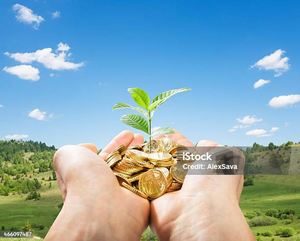 Zwei Händen Halten Münzen Und Neue Plant Stockfoto und mehr Bilder von Grün - Grün, EU-Währung, Euro-Symbol