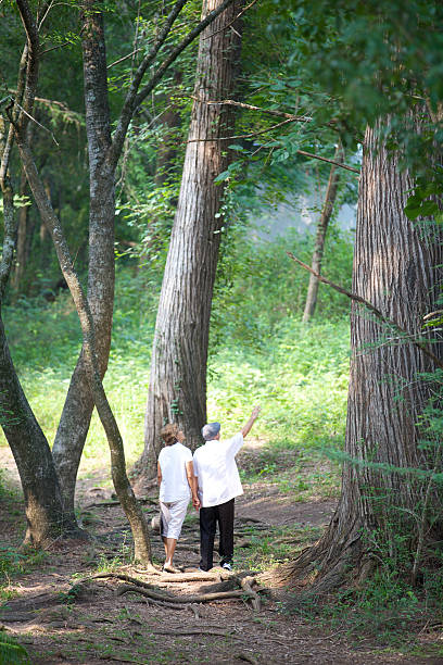 istock Loving Couple in the forest 466098173