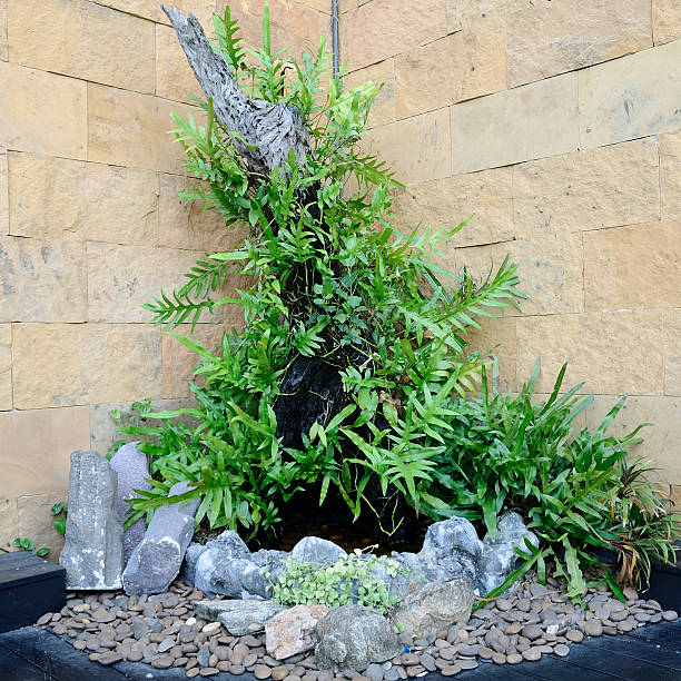 istock Small garden in corner of building. 466098812