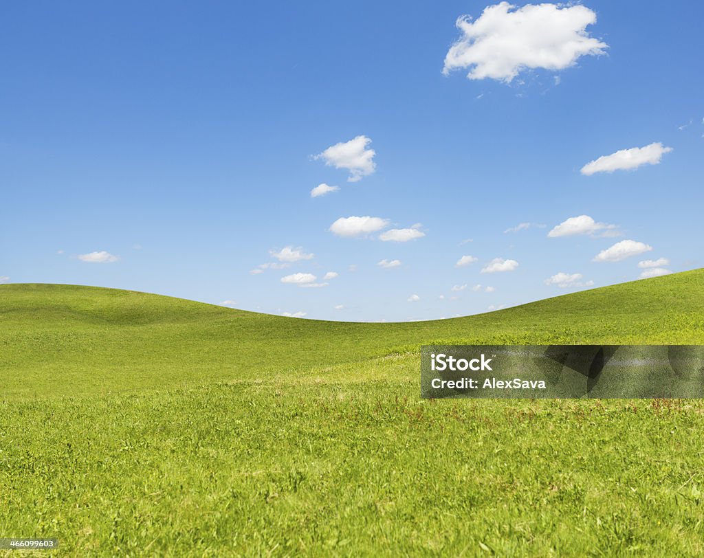 simple green field de printemps - Photo de Bleu libre de droits
