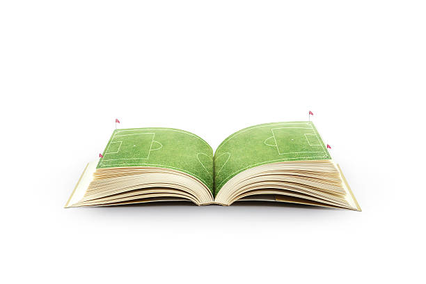istock Open book with green grass soccer stadium 466101114