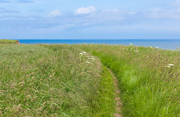 istock Coastal footpath at Flamborough Head, Yorkshire, UK 466101394