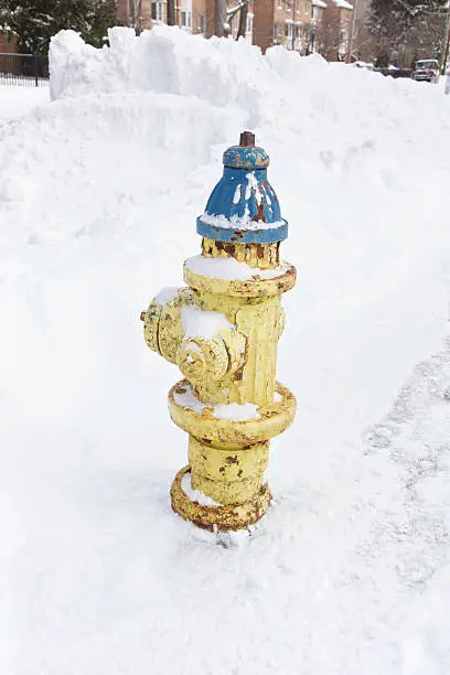 Photo of Fire hydrant, snow