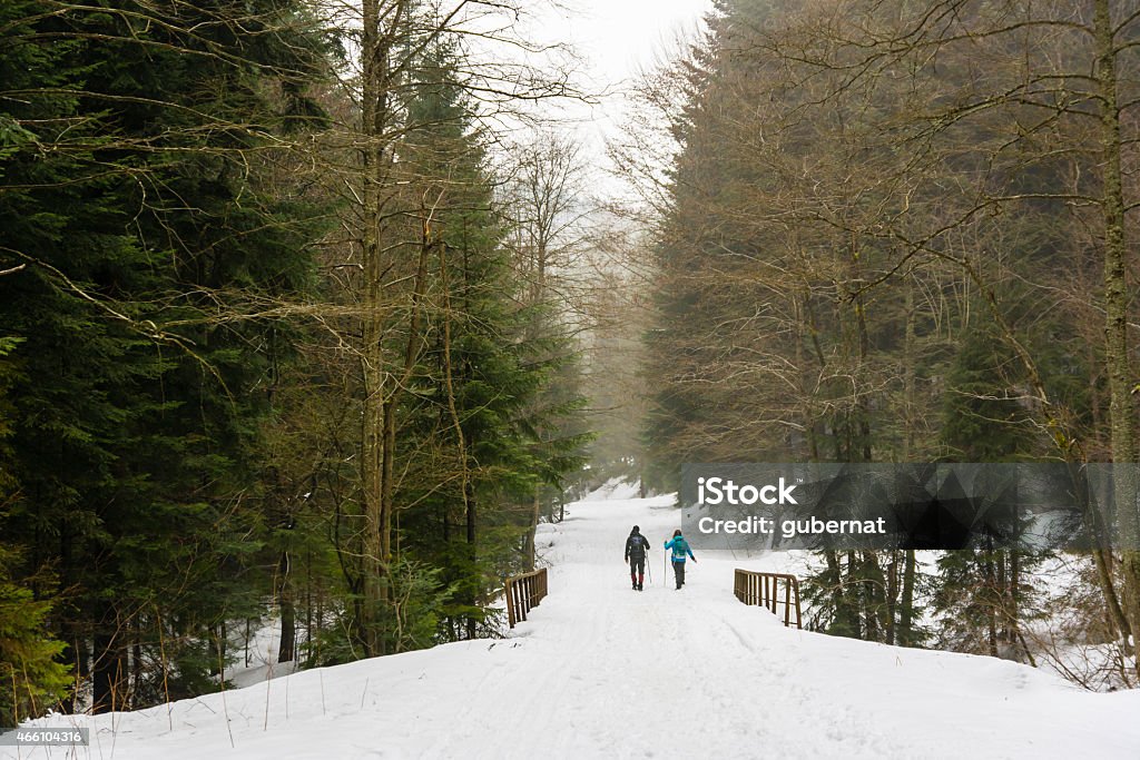 Couple of tourists on the road Two tourists on the road covered with snow 2015 Stock Photo