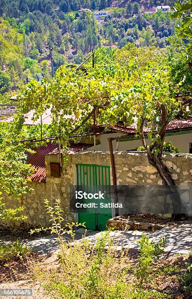 Eingang Zum Haus Mit Weinbergen Mountain Village Pedoulas Zypern Stockfoto und mehr Bilder von Agrarbetrieb