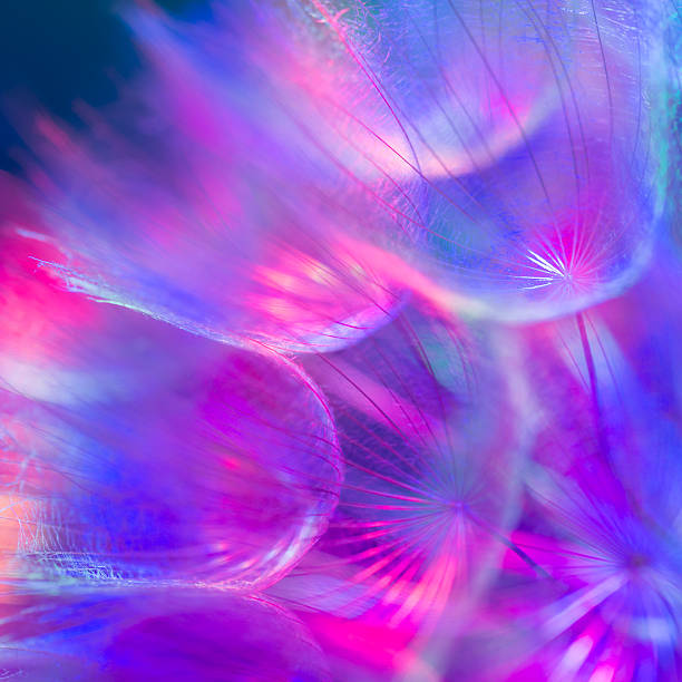 istock Colorful Pastel Background - vivid abstract dandelion flower 466106402