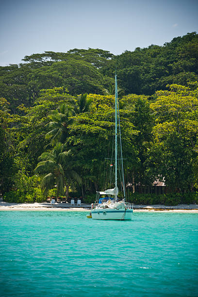 istock Tropical beach at Mahe island Seychelles 466108688