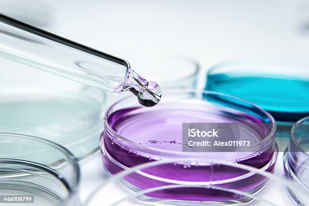 Pipette Mit Tropfen Farbe Flüssigkeit Und Petri Gerichte Stockfoto und mehr Bilder von Petrischale