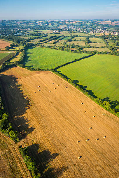 Aerial view over golden crop fields, farms and vibrant green patchwork landscape under blue summer skies. ProPhoto RGB profile for maximum color fidelity and gamut.