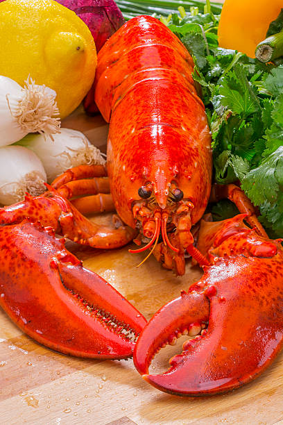 istock Fresh Steamed Lobster with Lemon and Fresh Vegetables 466115614