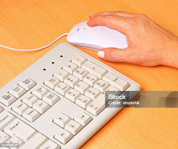 Human Hand Stock Photo - Download Image Now - Business, Close-up, Color Image