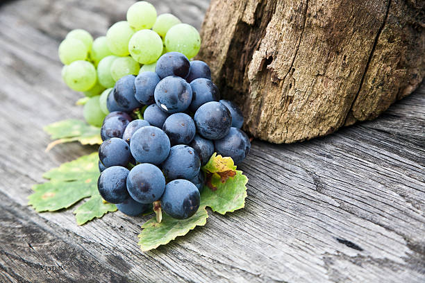 bleu raisin et de raisin vert sur une table en bois - autuum photos et images de collection