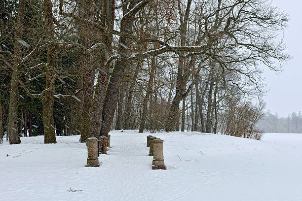 istock Winter snowy  landscape in garden Pushkin, 466120820
