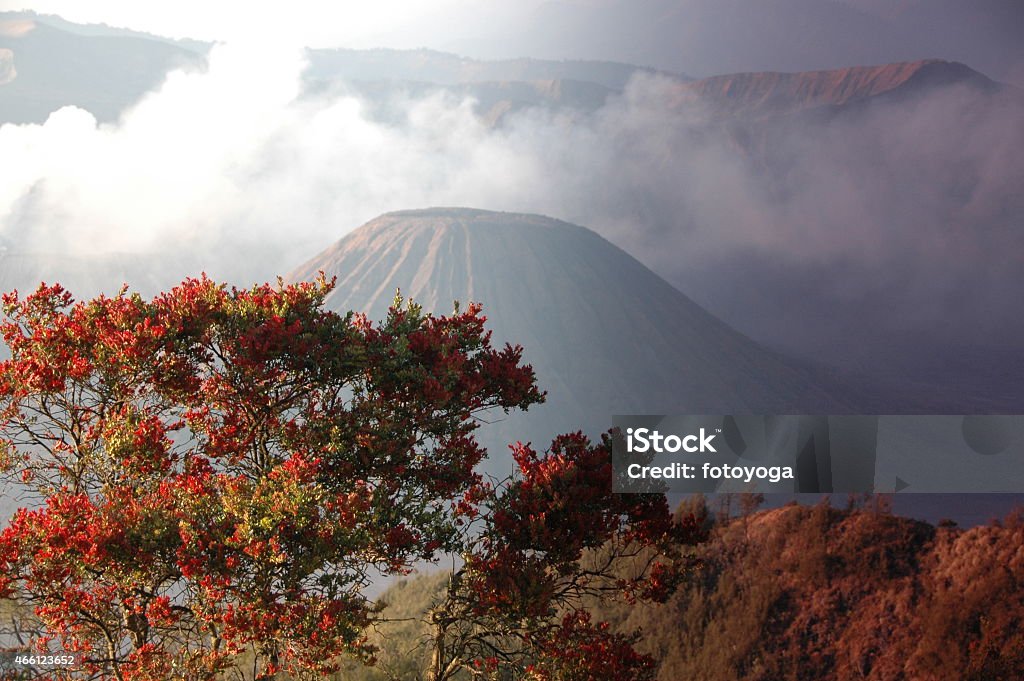 Bromo Volcano at dawn Bromo Volcano at dawn hours, East Java, Indonesia 2015 Stock Photo