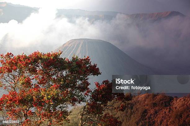 Bromo Volcano At Dawn Stock Photo - Download Image Now - 2015, Activity, Adventure