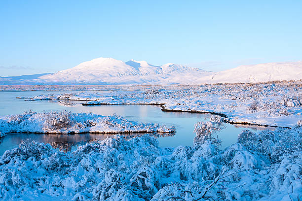istock Thingvellir National Park in winter 466123904
