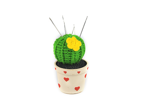 knitted cactus