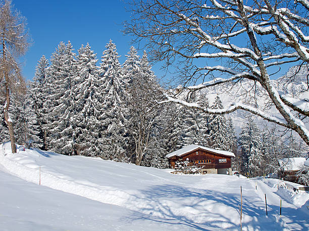 istock Winter in the alps 466124446