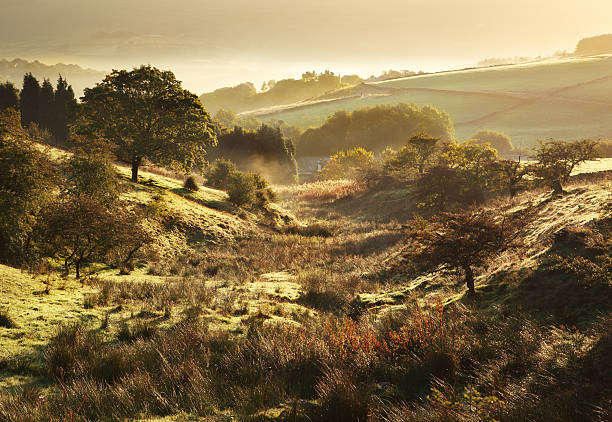 istock Nature landscape of sunny fields in British countryside 466126384