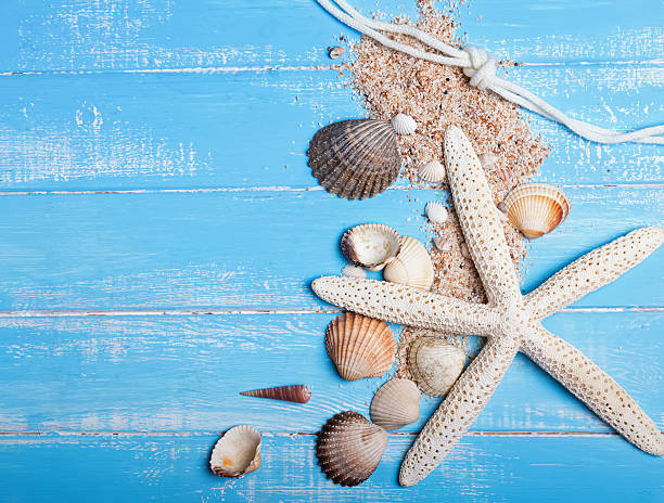 istock Seashells and sand on the blue wooden background 466129952