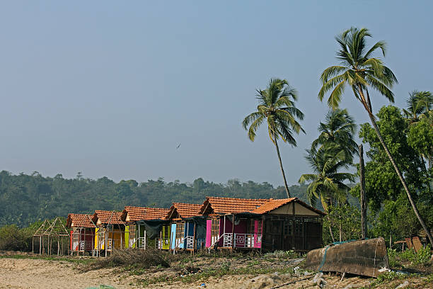 istock holiday bungalows on stilts Agonda beach, Goa 466131091
