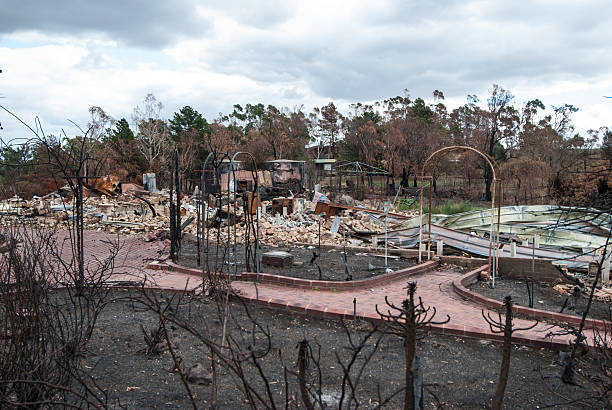 istock Melbourne bushfires australia 2009 Black Saturday 466135050