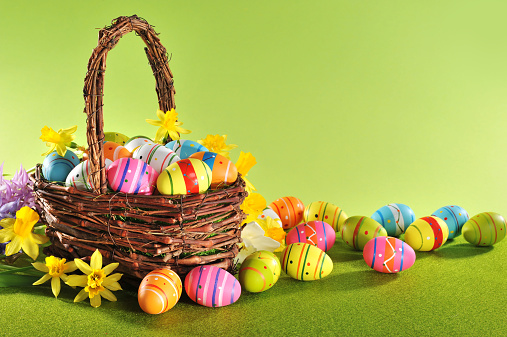 colorful easter eggs and narcissus in easter nest on grass