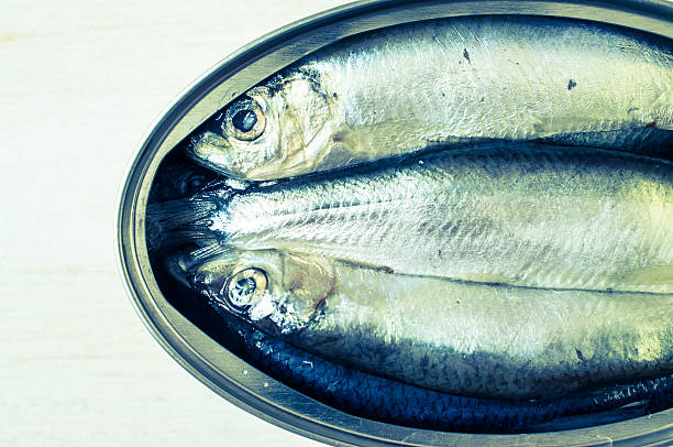 Sprats in a tin