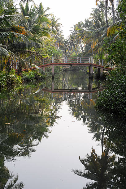 fiume le backwater di kollam - kollam foto e immagini stock