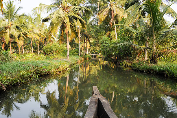 istock River of the backwaters at Kollam 466139946