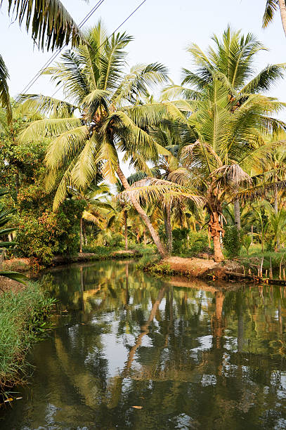 istock River of the backwaters at Kollam 466139948