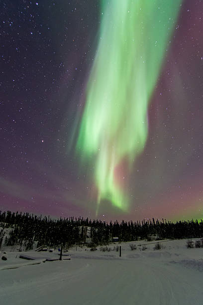 istock Aurora Over Trees in Yellowknife, Canada 466140942
