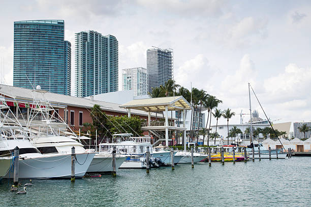 istock USA - Florida - Miami, Downtown 466147498