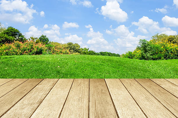istock Perspective wood over blur landscape background 466147514