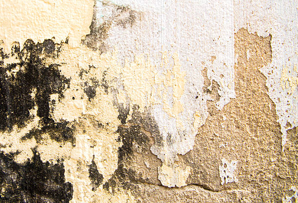 istock the old cement for the background 466150274