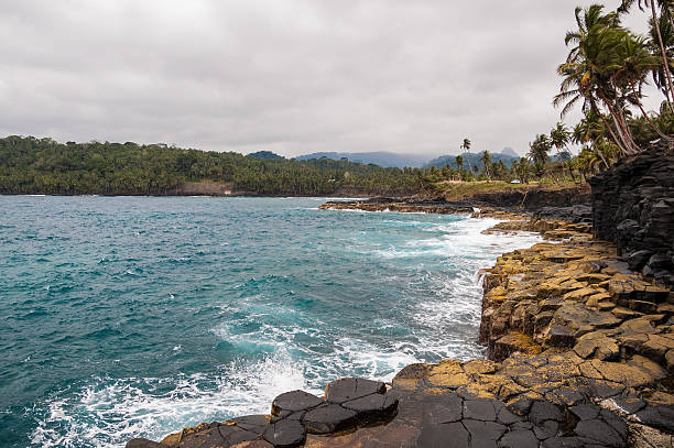 istock Cliffs on tropical shore with palm trees and pristine sea 466150362