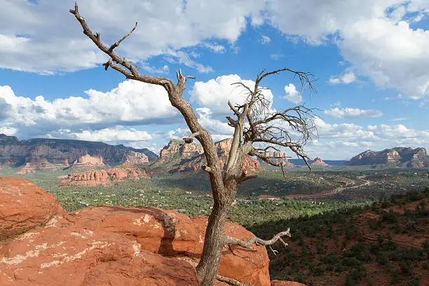 Photo of Sedona valley