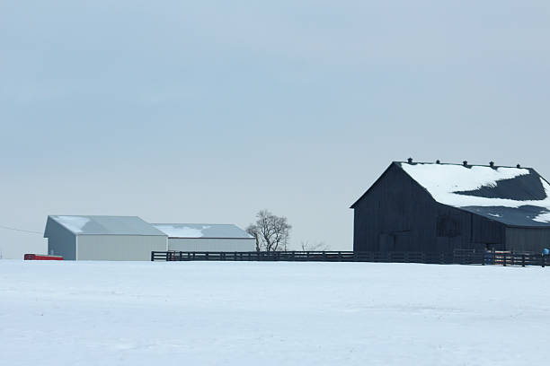 istock Black Barn With Snow on Roof 466151100