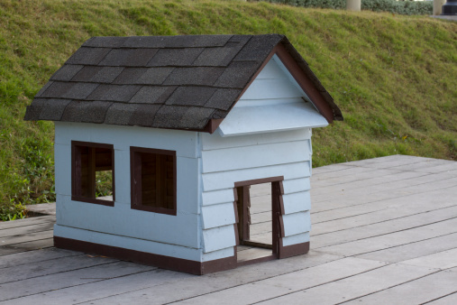 wooden dog's house
