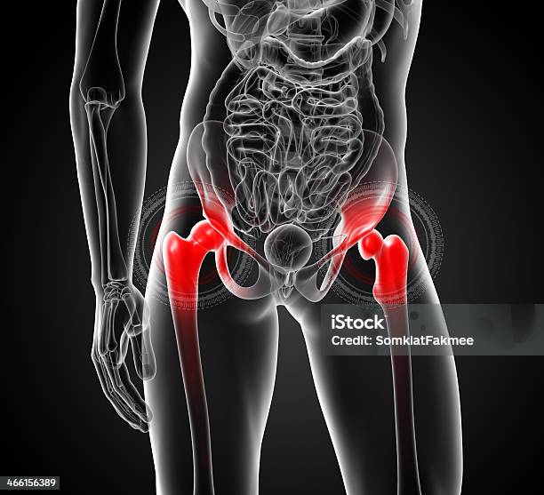 3 D レンダリングされた医療イラスト腰の痛み関節front - 膝のストックフォトや画像を多数ご用意 - 膝, デジタル生成, 上腕骨