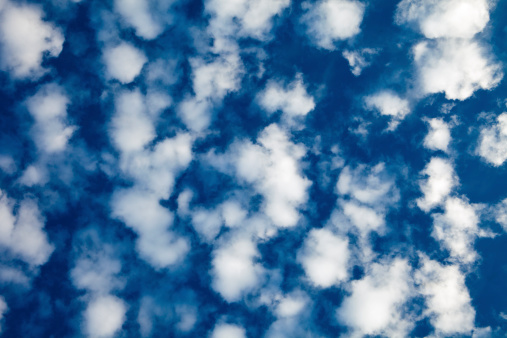 A cloudscape of puffy white altocumulus clouds forms a natural background pattern overhead.