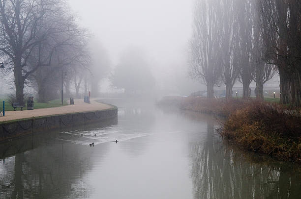 istock Wildlife in the mist 466160627