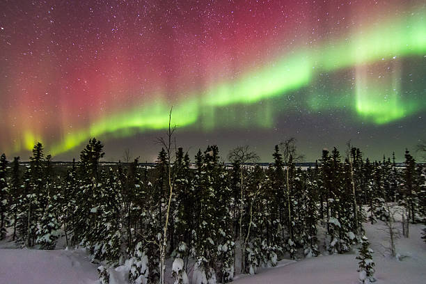 istock Aurora Over Trees in Yellowknife, Canada 466160670
