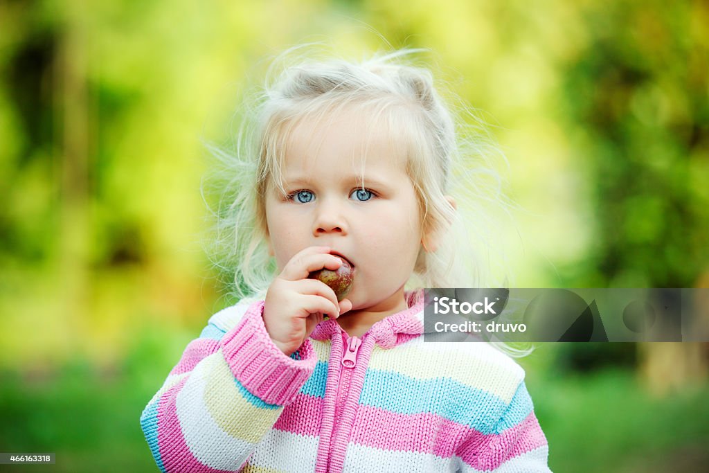 Little cute girl Little cute girl eating apple 2-3 Years Stock Photo