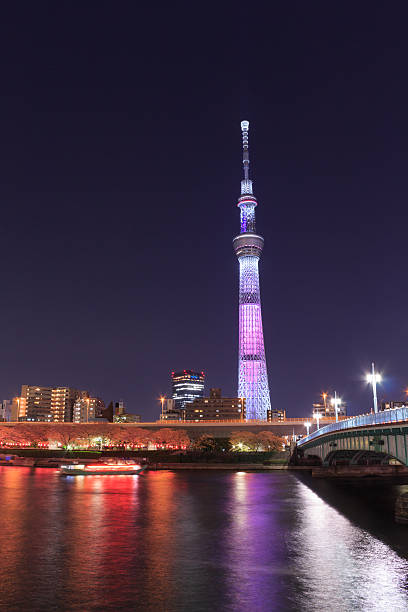 istock Tokyo Sky Tree and Sumida river in Tokyo at night 466163700