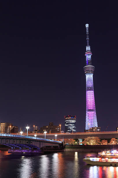 istock Tokyo Sky Tree and Sumida river in Tokyo at night 466163702