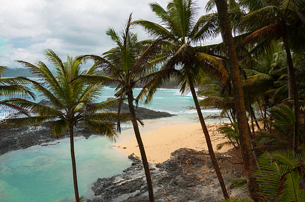 istock Tropical beach with palm trees and pristine blue sea. 466163974