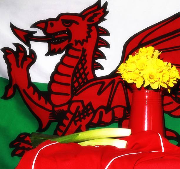 bandeira galesa, narcisos e alho-poró, símbolos de gales - welsh flag welsh culture flag green - fotografias e filmes do acervo